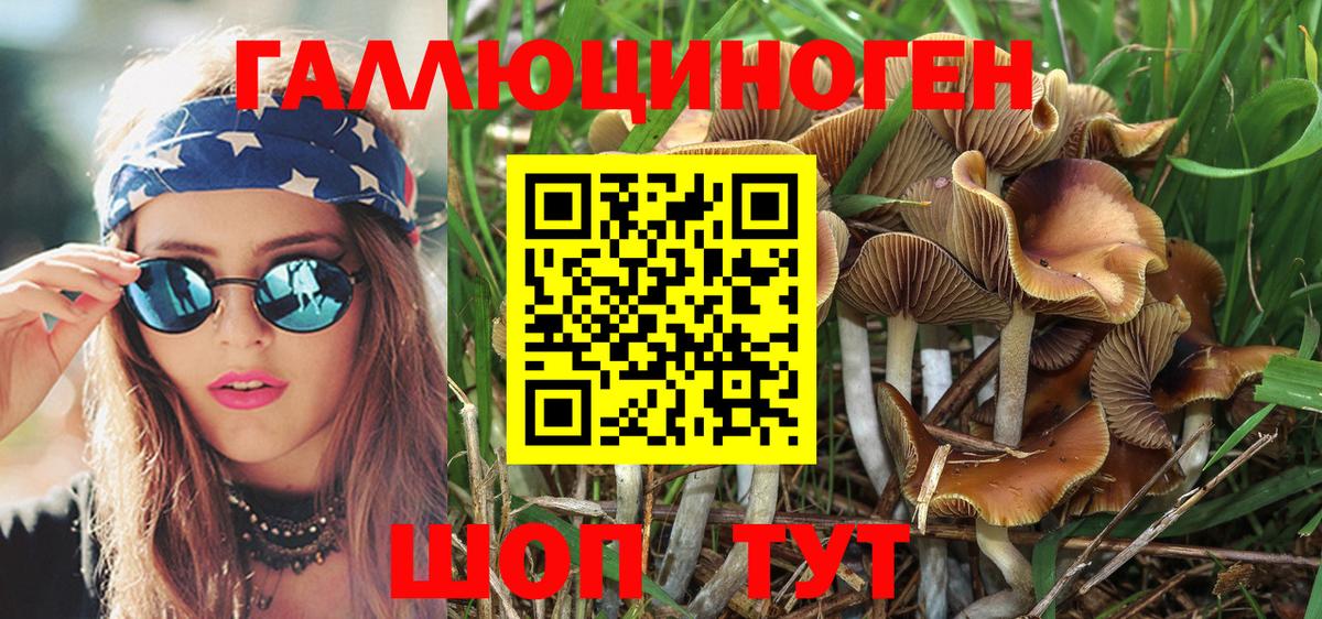 Галлюциногенные грибы Psilocybe Домодедово