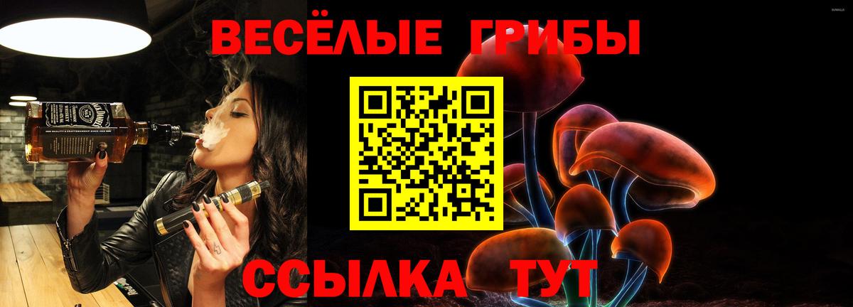 Галлюциногенные грибы MAGIC MUSHROOMS  Вход с VPN  наркотики  Домодедово 